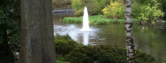 Crystal Springs Rhododendron Garden is one of Great outdoor parks in Portland, OR.