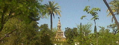 Royal Alcazar of Seville is one of Sevilla spots.