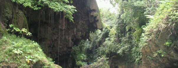 Green Canyon (Cukang Taneuh) is one of All About Holiday!.