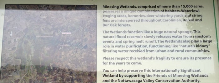 Minesing Wetlands, Nottawasaga Valley Conservation Authority is one of GTA non dining.