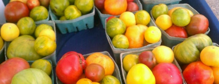 East Lansing Farmers Market is one of Family Fun Places to Visit.