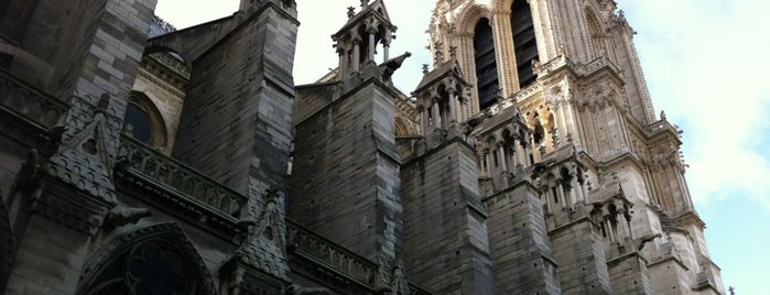 Cattedrale di Notre-Dame is one of wher to go in PARIS.