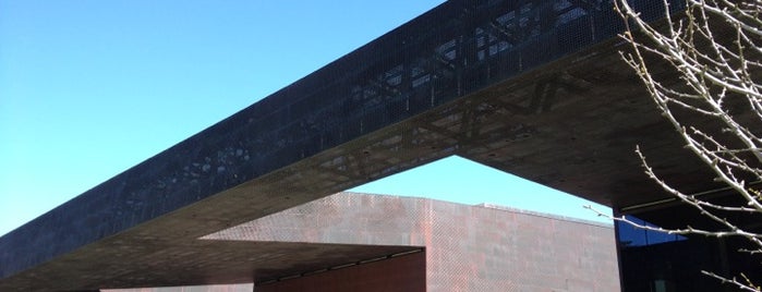 de Young Barbro Osher Sculpture Garden is one of Bay Area Bucket List.