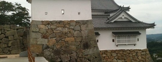 Kakuzan Park (Tsuyama-jo Castle Ruins) is one of 日本100名城.