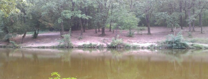 Jezero Trešnja is one of Out of Belgrade.