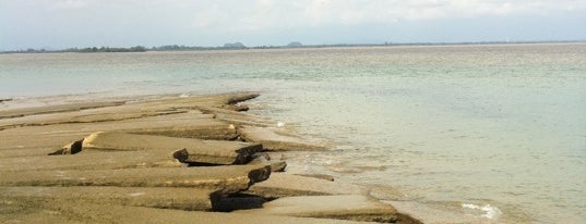 สุสานหอย (Gastropod Fossil) is one of Guide to the best spots in Krabi.|เที่ยวกระบี่.