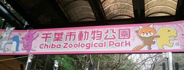 千葉市動物公園 is one of 鳥のいるスポット.