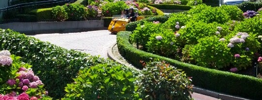 Lombard Street is one of San Francisco Sightseeing.