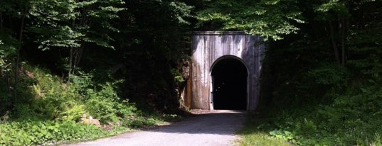 Big Savage Tunnel is one of Historic Bridges and Tinnels.