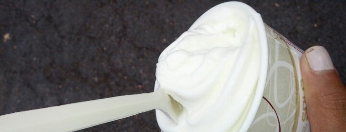 Cool Harry's Yogurt is one of Frozen Yogurt Shops PDX/COUV.