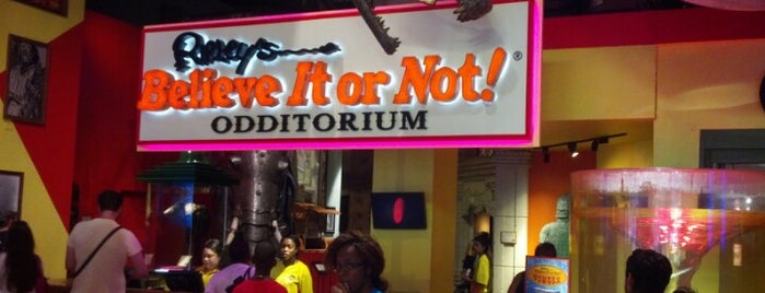 Ripley's Believe It or Not! is one of The City That Never Sleeps.