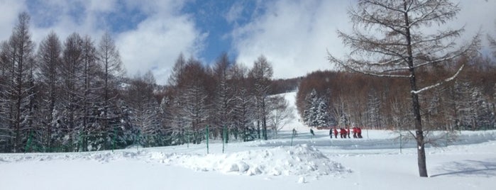 志賀高原 焼額山スキー場 is one of The Best Skiing in the World.
