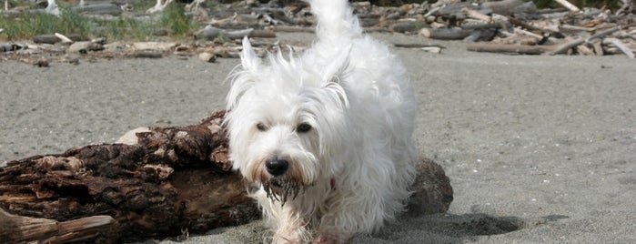 Newport Bluffs Dog Park is one of For K9 friends in SFValley+.