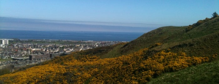 Arthur's Seat is one of E.