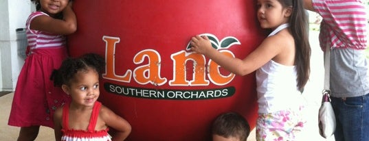 Lane Southern Orchards is one of Best Local Attractions.