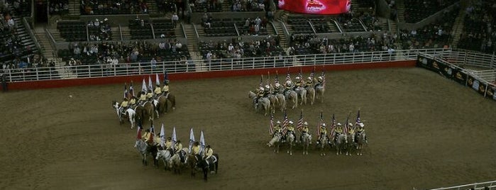 The San Antonio Stock Show & Rodeo is one of Posti che sono piaciuti a Stefanie.