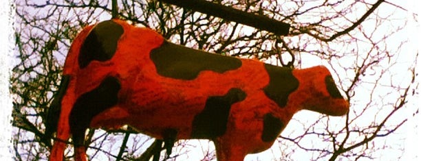 The Sunburnt Cow is one of NYC.