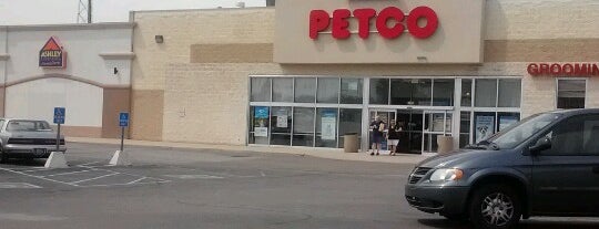 Petco is one of Kline and Harris  gym.