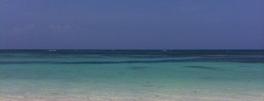 Tortuga Bay Hotel Punta Cana is one of Locais curtidos por Rolando.