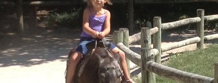 Fort Wayne Childrens Zoo Pony Ride is one of Fort Wayne Children's Zoo check-ins.