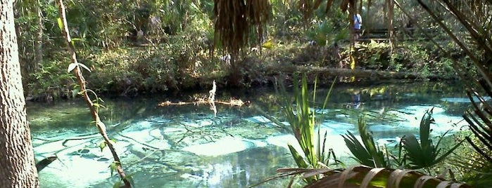 Juniper Springs Headwaters is one of Kimmieさんの保存済みスポット.