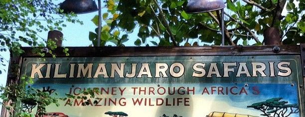 Kilimanjaro Safaris is one of Disney 2010.