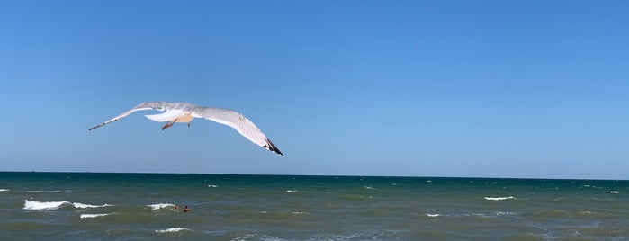 Sea of Azov is one of Україна / Ukraine.