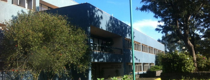Instituto de Investigaciones Sociales, UNAM is one of สถานที่ที่ Andrés ถูกใจ.