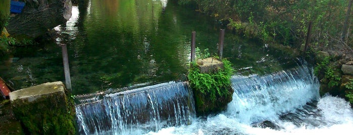 Pınarbaşı Balık Restaurant is one of สถานที่ที่บันทึกไว้ของ Oguz.