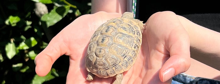 Parco Delle Biodiversita' is one of calabria.