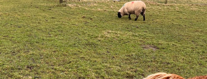 Moher Hill Open Farm is one of BEST OF: Ireland🍀.