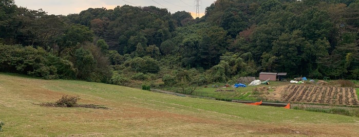 万松寺谷戸 is one of 公園.