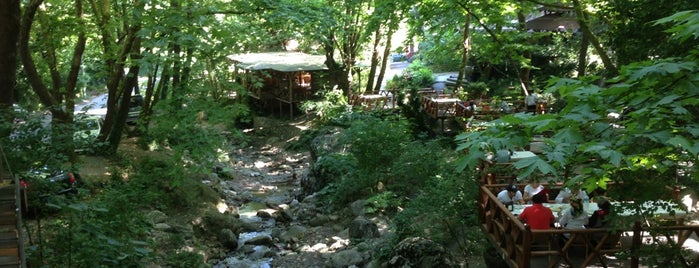 Maşukiye Saklıbahçe is one of Tempat yang Disukai Aslı.