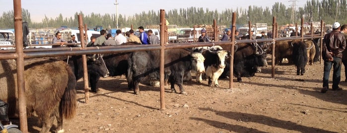 Kashgar Livestock Market is one of สถานที่ที่ Matt ถูกใจ.