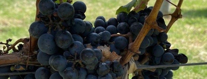 Valle De Guadalupe is one of Valle de G 🍇.