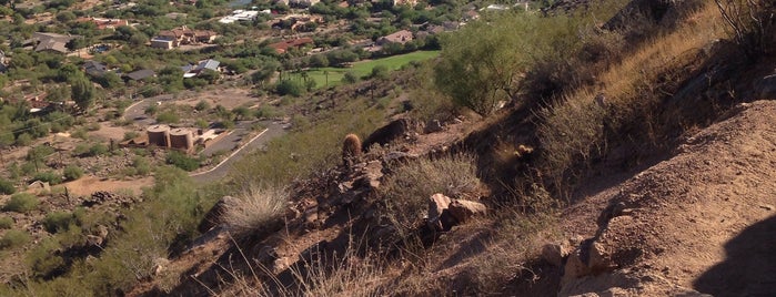 Cholla Trail, Camelback Mountain is one of Terressaさんのお気に入りスポット.