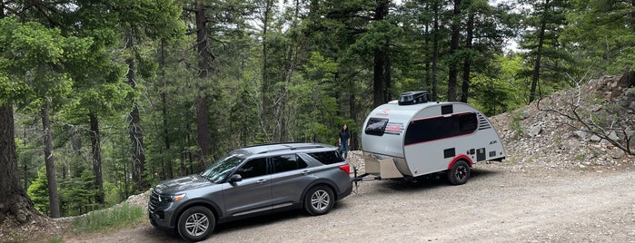 Lincoln National Forest is one of ... V.