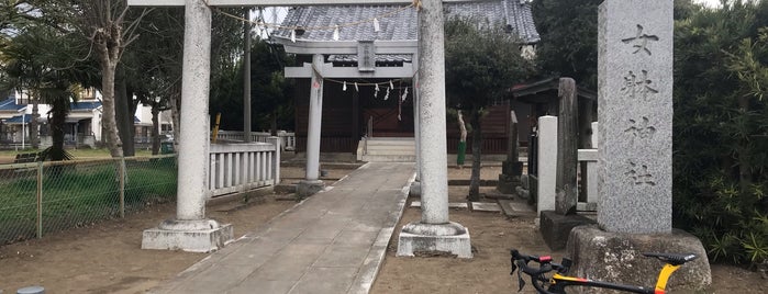 Nyotai Shrine is one of 謎なもの.