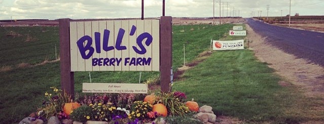 Bills Berry Farm is one of Ahmad🌵: сохраненные места.