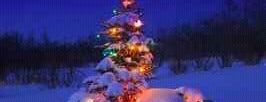 Merry Christmas 2013 is one of Locais curtidos por Mike.