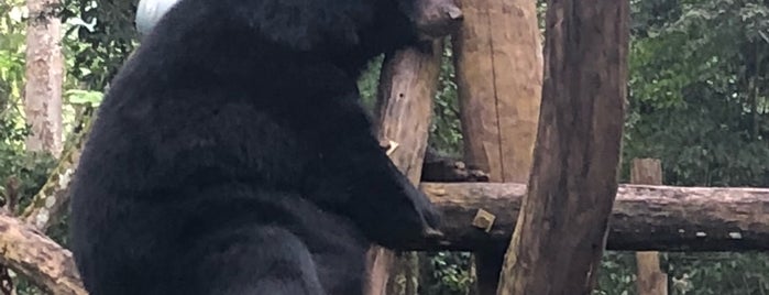 Bear Rescue Centre is one of สถานที่ที่ Erika Rae ถูกใจ.