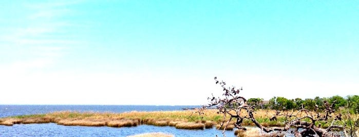 Duck Soundside Boardwalk is one of OBX.