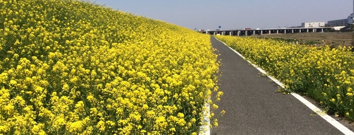 常磐自動車道 江戸川橋 is one of 江戸川CR.