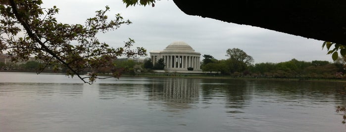 Thomas Jefferson Memorial Gift Shop is one of MD.