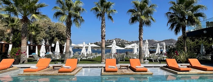 Arts Hotel Bodrum is one of BDRM.