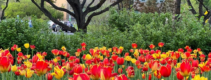 Commissioners Park is one of Lugares favoritos de Patricia Carrier.