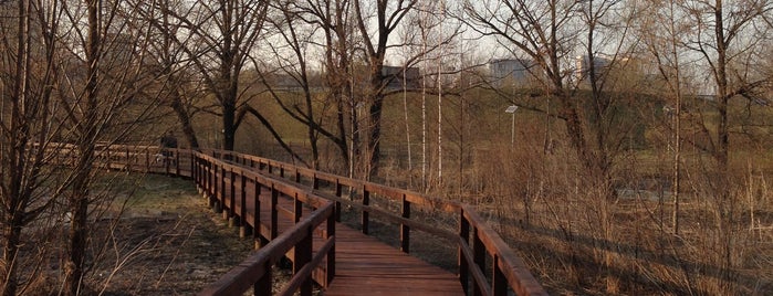 Природный заказник «Долина реки Сетунь» is one of парки москвы.