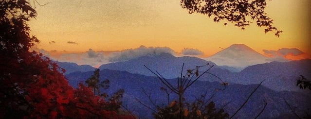 Top of Mt. Takao is one of The Bevsy - Tokyo.