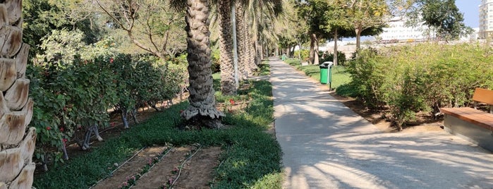 The Azaiba Park is one of #Oman.