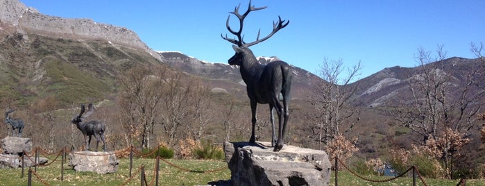 Museo De La Fauna Salvaje is one of Marta : понравившиеся места.